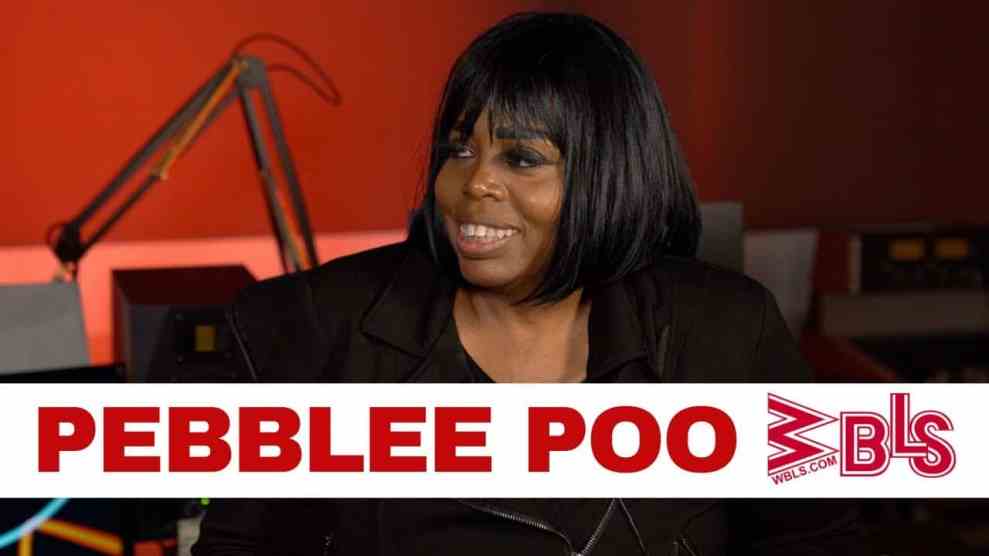 Pebble Poo Cover