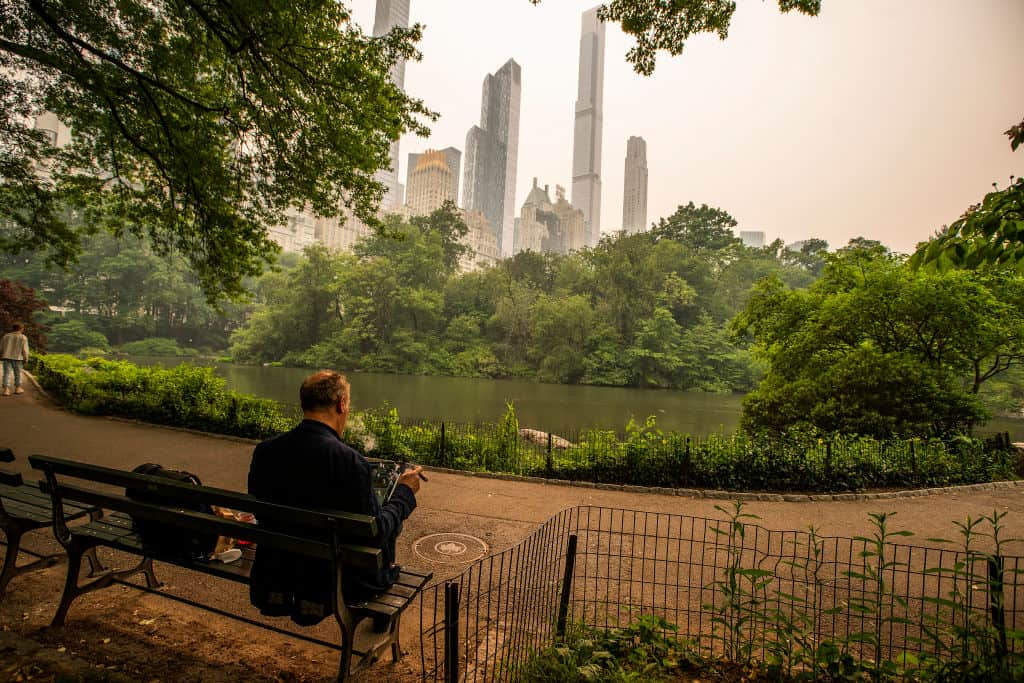 Victim Of ‘Central Park Karen’ Lands Show Deal With Disney+