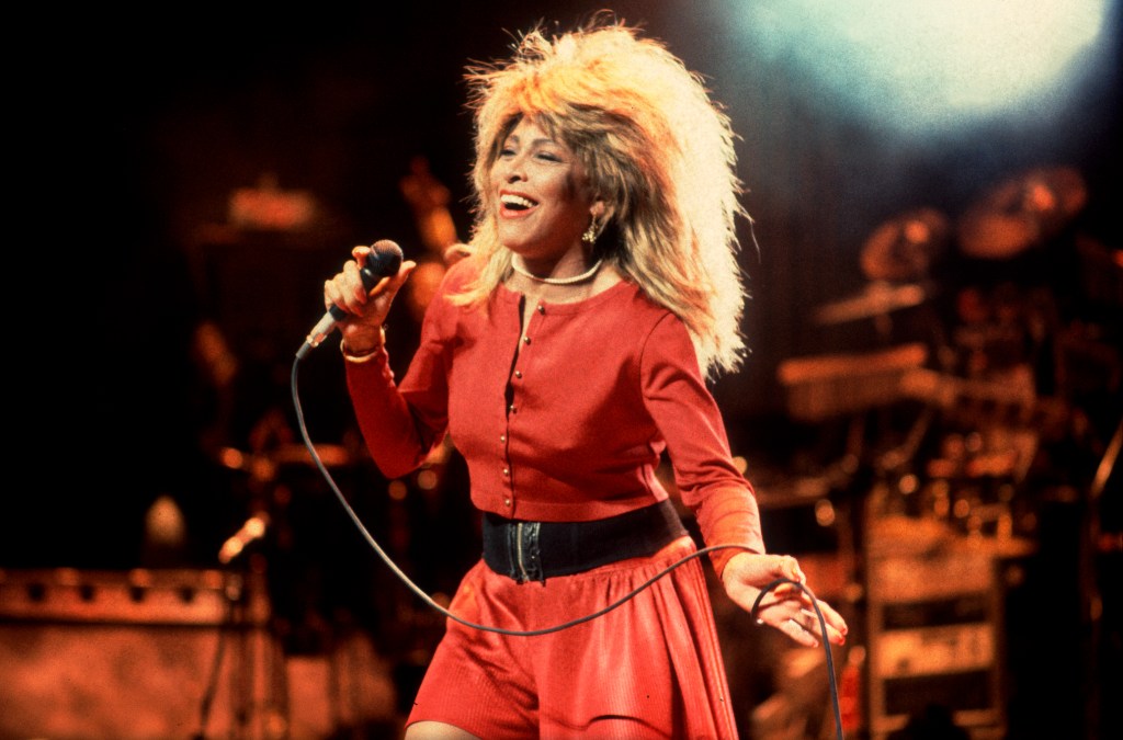 Tina Turner Honored With Statue in Hometown