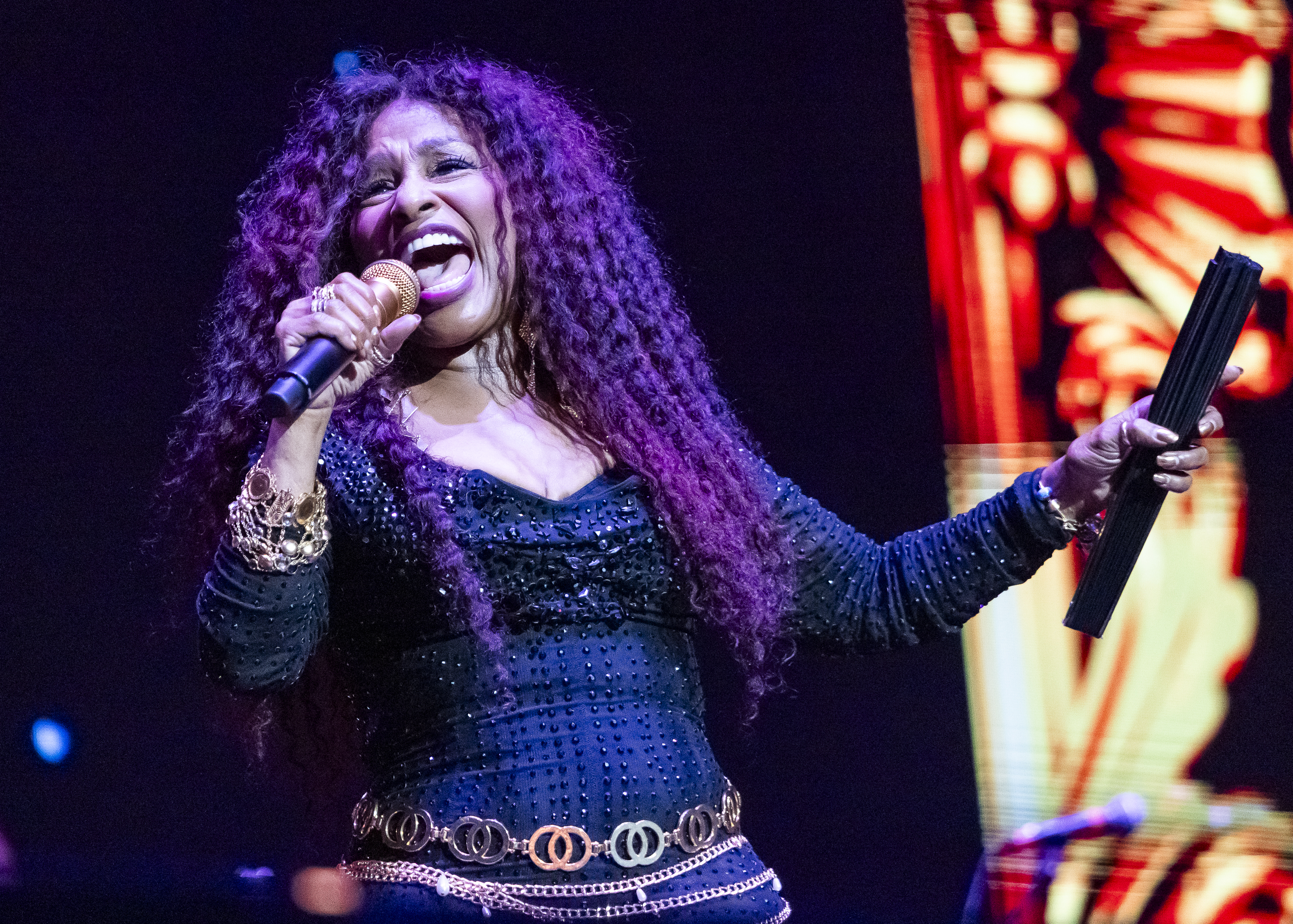 Chaka Khan Links Up with Snoop Dogg for Collaboration as She Announces ...