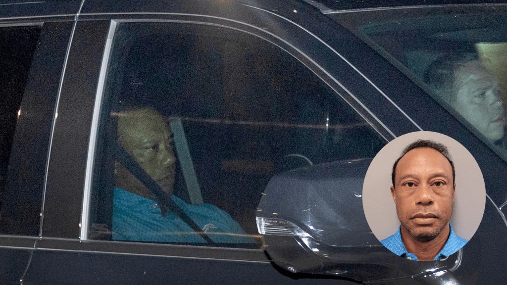 Tiger Woods Arrested For DUI Car Crash, Later Released