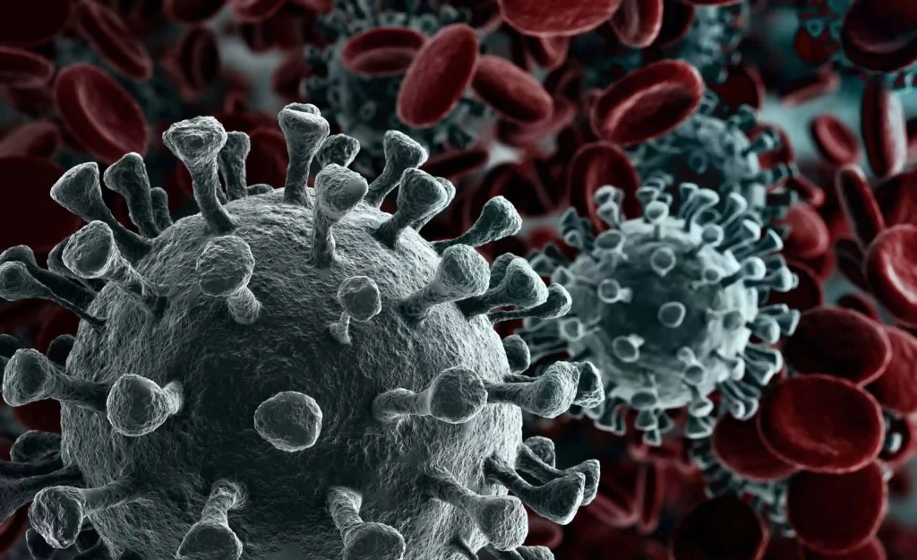 Deadly Virus Breaks Out On Cruise Resulting in Three Fatalaties