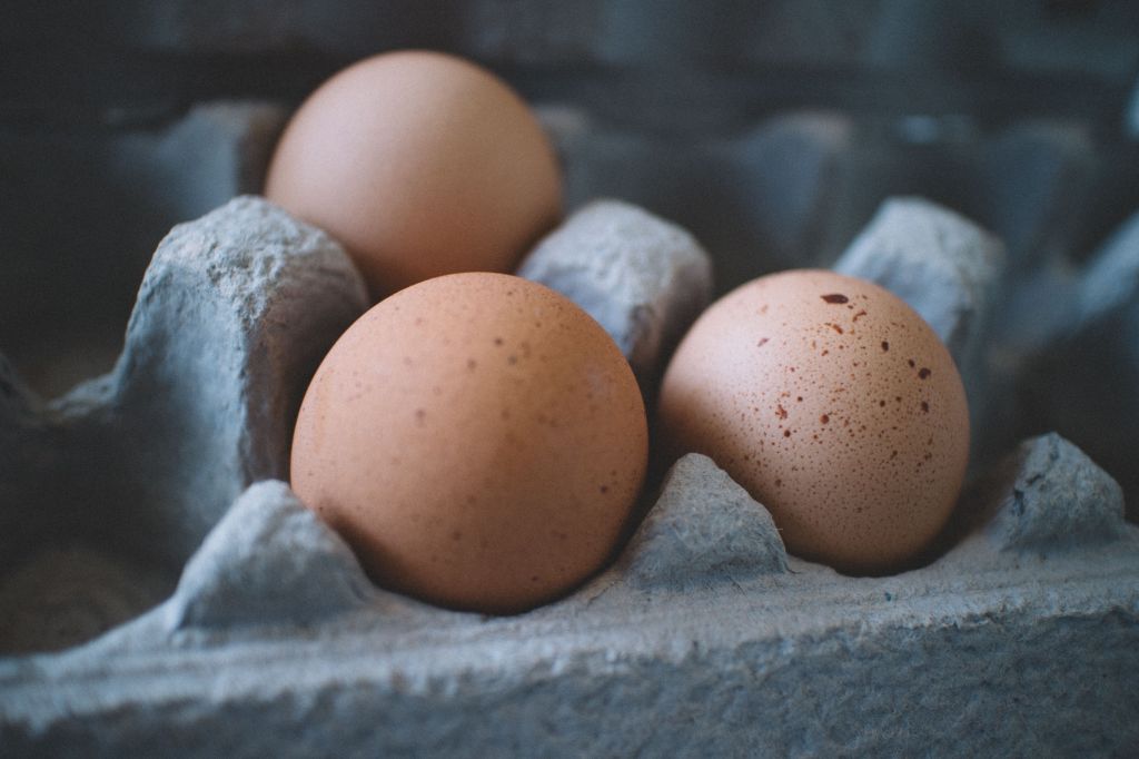 1.6 Million Dozen Eggs Recalled After Possible Salmonella Contamination
